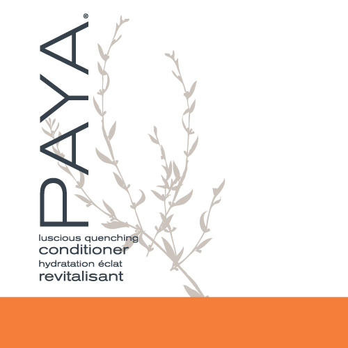 photo of paya conditioner, a shampoo and conditioner dispenser for shower