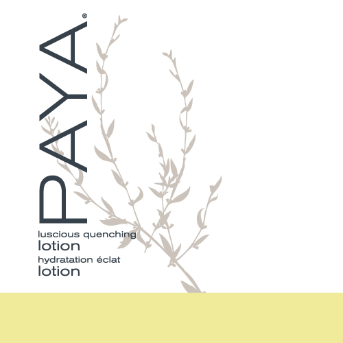 photo of paya lotion, a hotel lotion dispenser