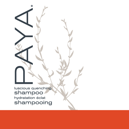 photo of paya shampoo, a shampoo dispenser for shower